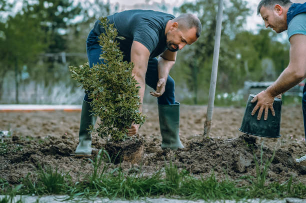 Best Tree Trimming and Pruning  in Washington Park, FL